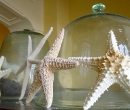 cloches and starfish