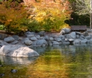 Lithia Park 1