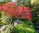 Lithia Park 5