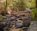 Lithia Park Ashland Creek