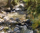 Lithia Park creek