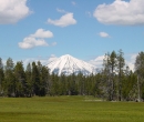 View of Mt.McLoughlin from meadow near the Lake