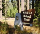 Winema National Forest