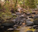 lithia park stream